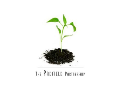 Padfield Partnership – How to network internally – for agility