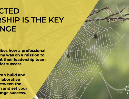 Connected leadership is the key to change