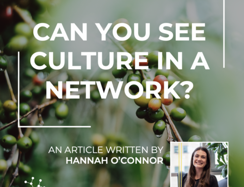 Can You See Culture in a Network?